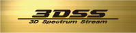 3DSS logo