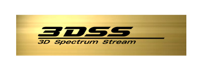 3DSS logo